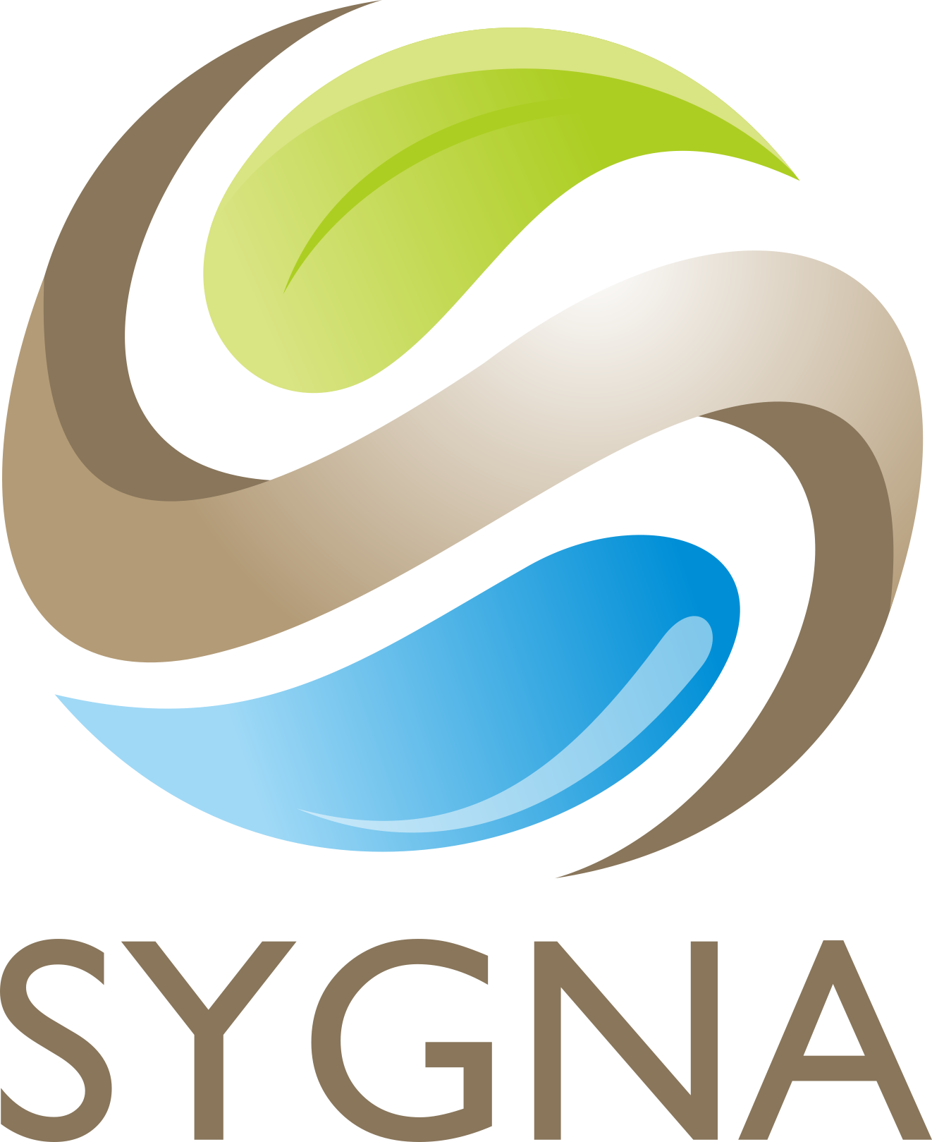 Logo Sygna Ingredients - Ingredients Supplier Export Import